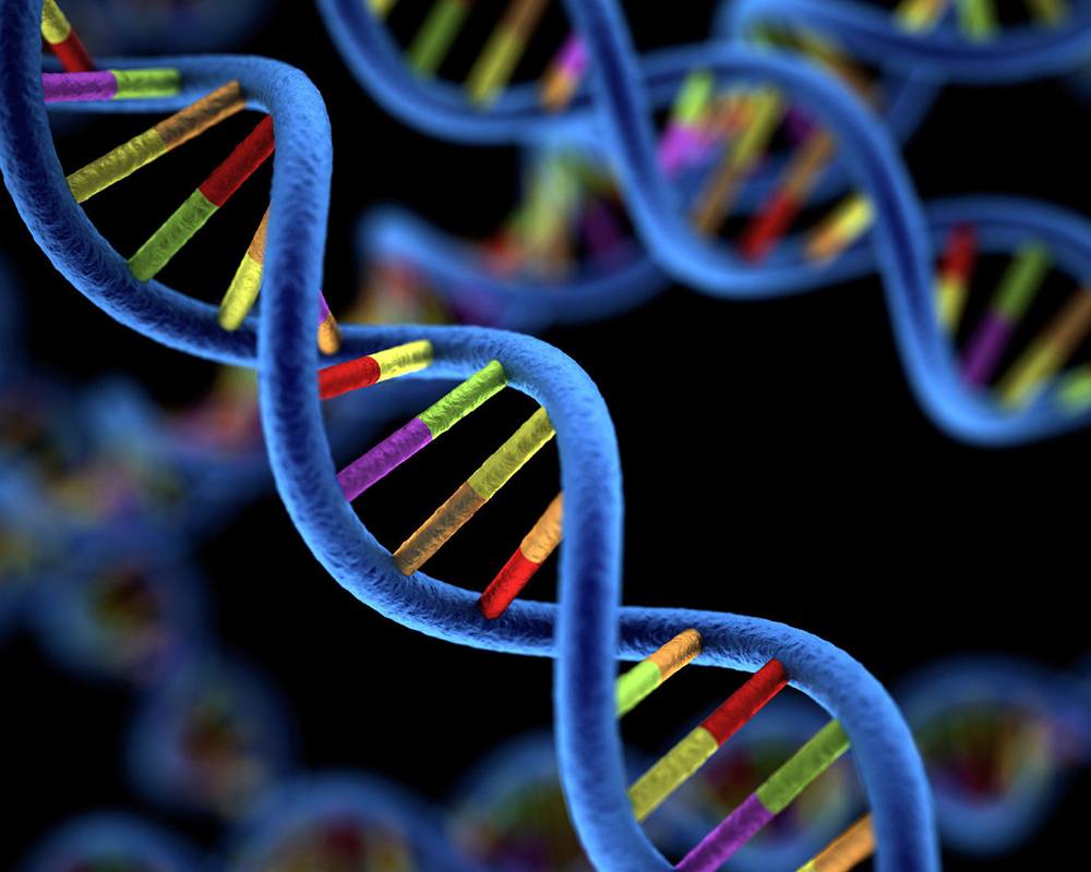 Genomics Market – Emerging Trends and Global Future Growth upto 2027