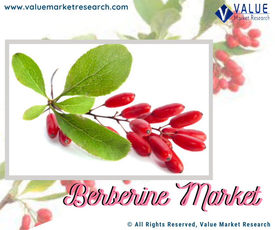 Global Berberine Market | Industry Top Players Analysis Report 2020-2027