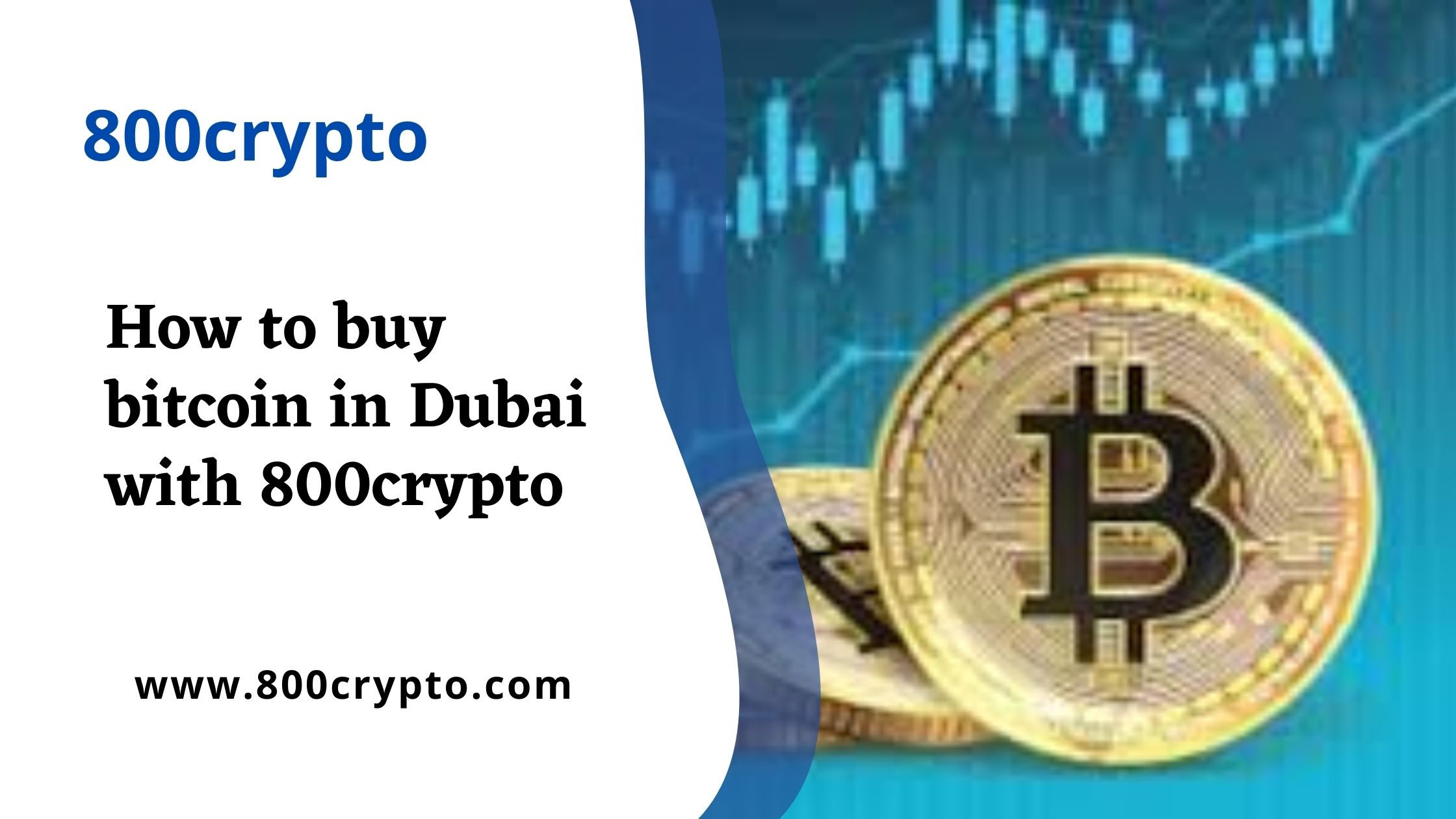 How to buy bitcoin in Dubai with 800crypto