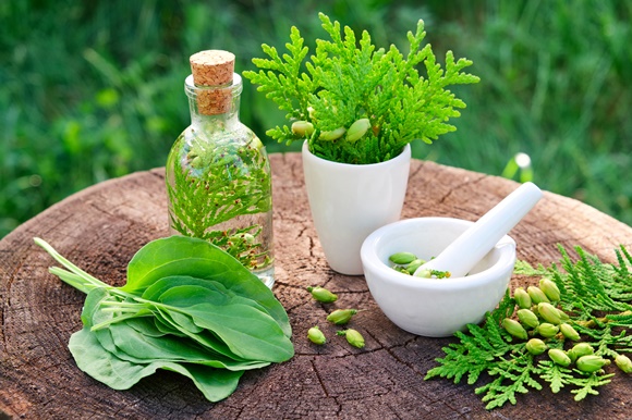 Global Herbal Medicine Market Research Report 2021
