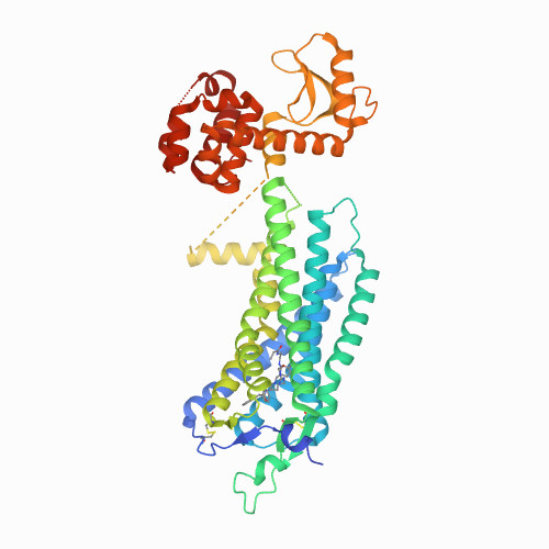 Global Neuropeptide Y Receptor Type 2 Market Research Report 2021