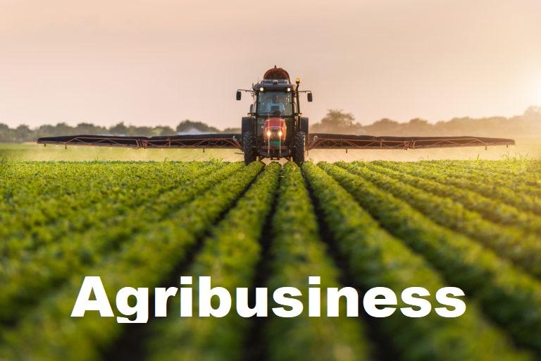 Global and Agribusiness Market Size, Status and Forecast 2020-2026