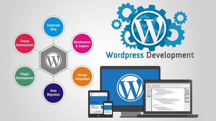 WordPress Development Services in India & USA