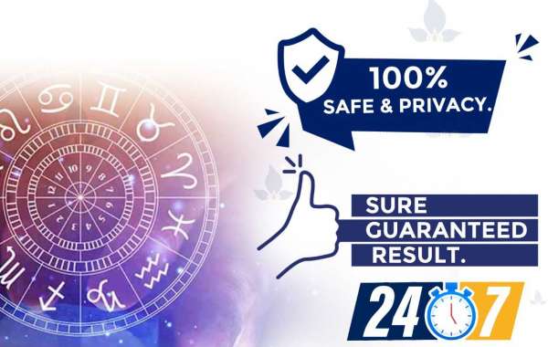Best Indian Astrologer in Toronto Canada