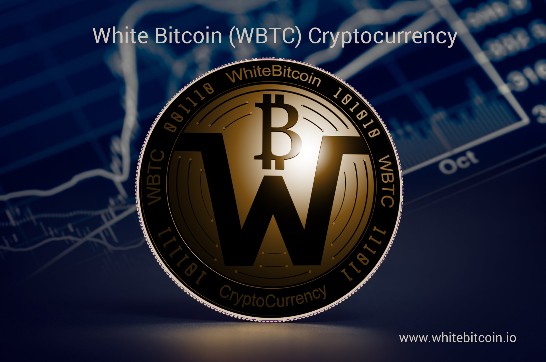 Why Decentralized Cryptocurrencies Are The Future?