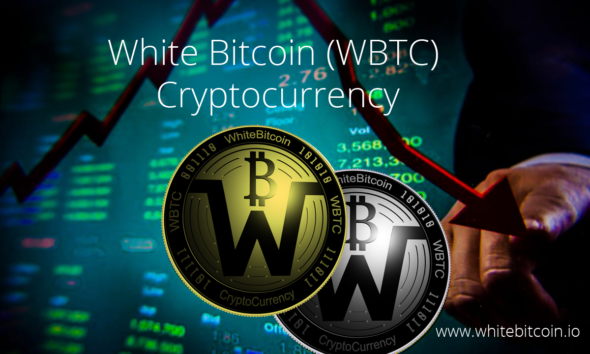 Best Long Term Cryptocurrency Investment Opportunities