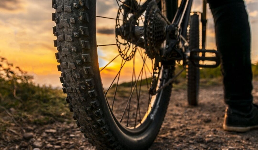 The Different Types of Bike Tires