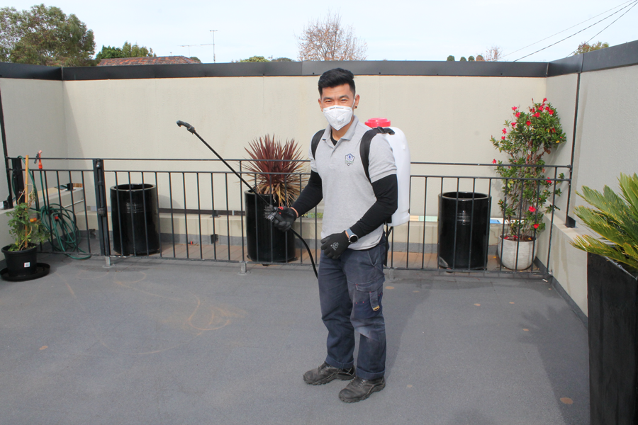 Effective Ways of Pest Control Gold Coast for Your Home