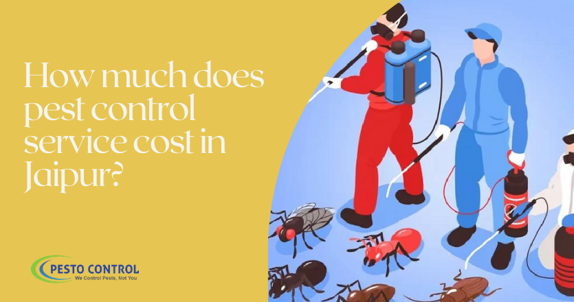 How much does pest control service cost in Jaipur? - Pesto Control