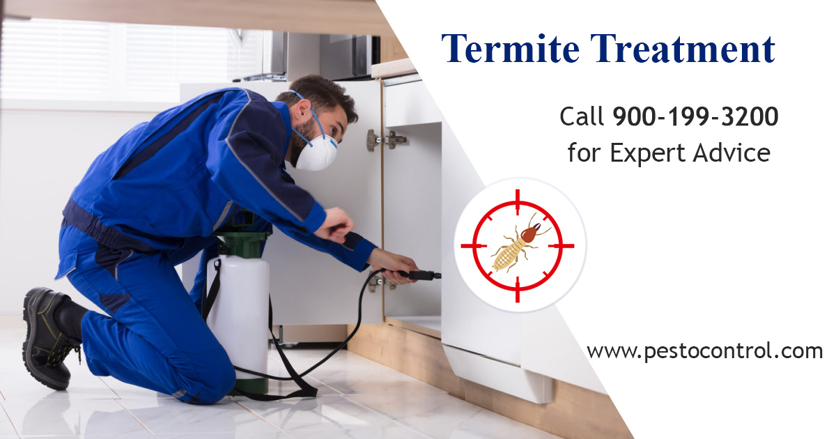 Deemak Treatment, Termite Control Services in Jaipur - Pesto Control