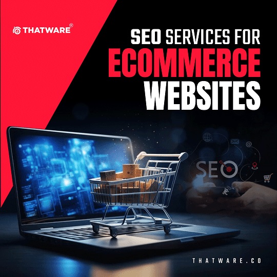 Elevate Your Online Store with Expert SEO Services for Ecommerce Websites