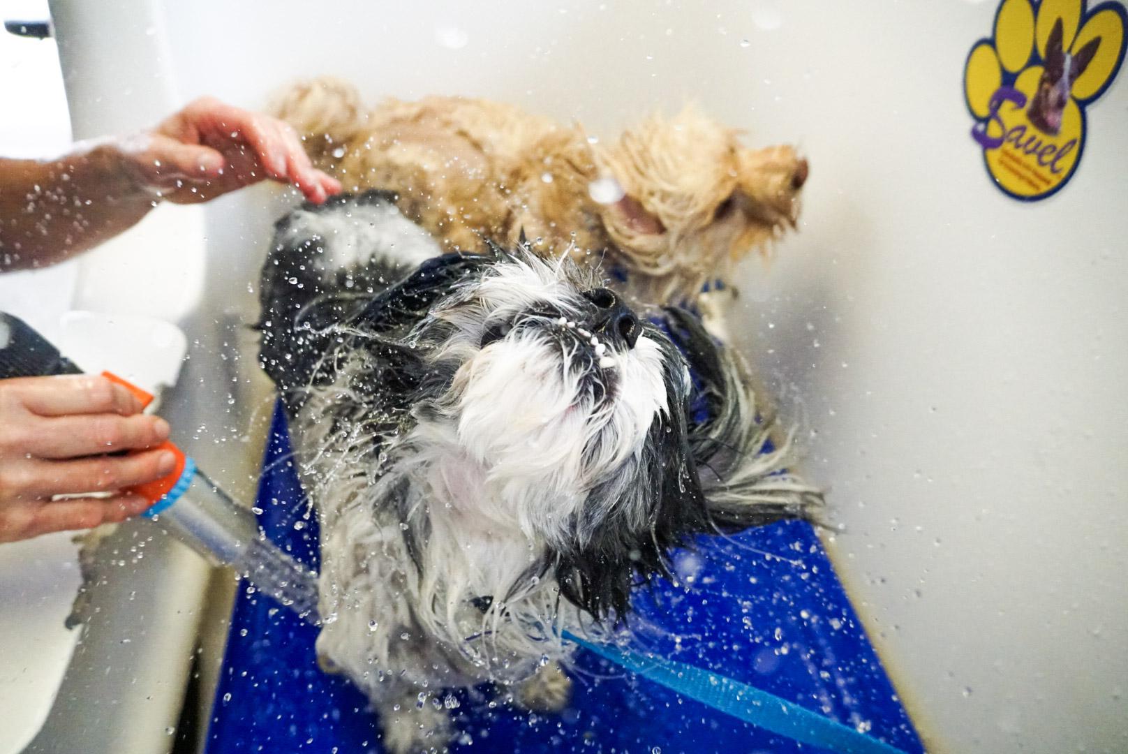 Hydro-Bath Technology