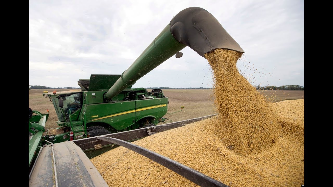John Deere 9600 Soybean Settings: Recalibrating Your Harvester For Profitability