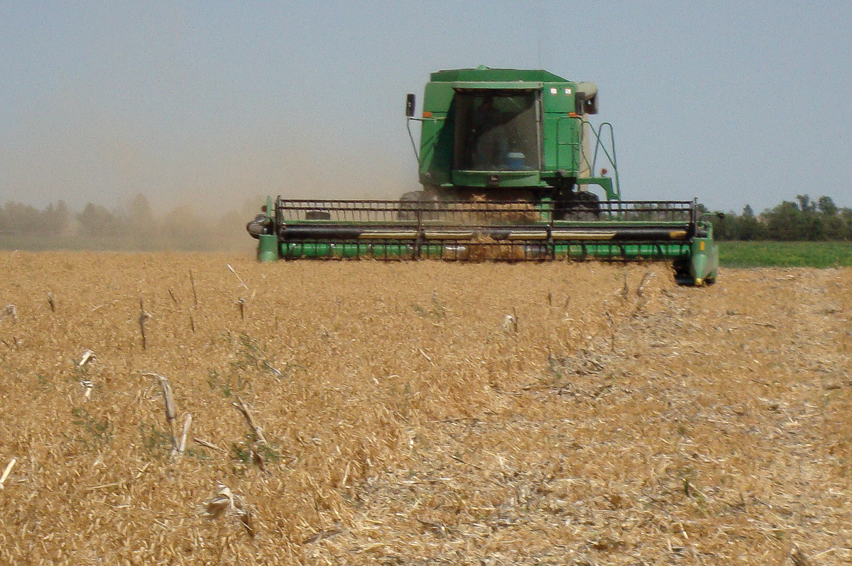 Easy Harvesting of Peas by Using Combine Concave System Technology
