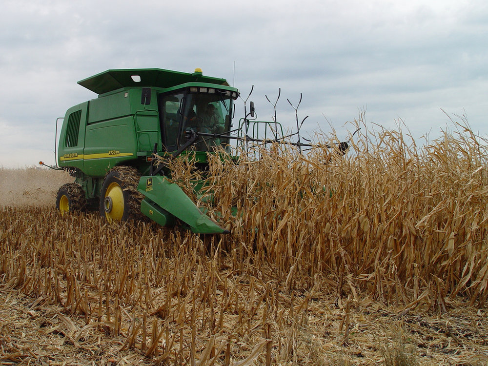 Reap Maximum Benefits From Your Investment With Right Combine Settings For Corn