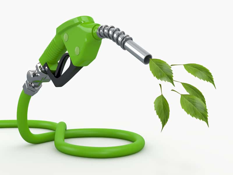 Global Butanol Fuel Market Research Report 2021