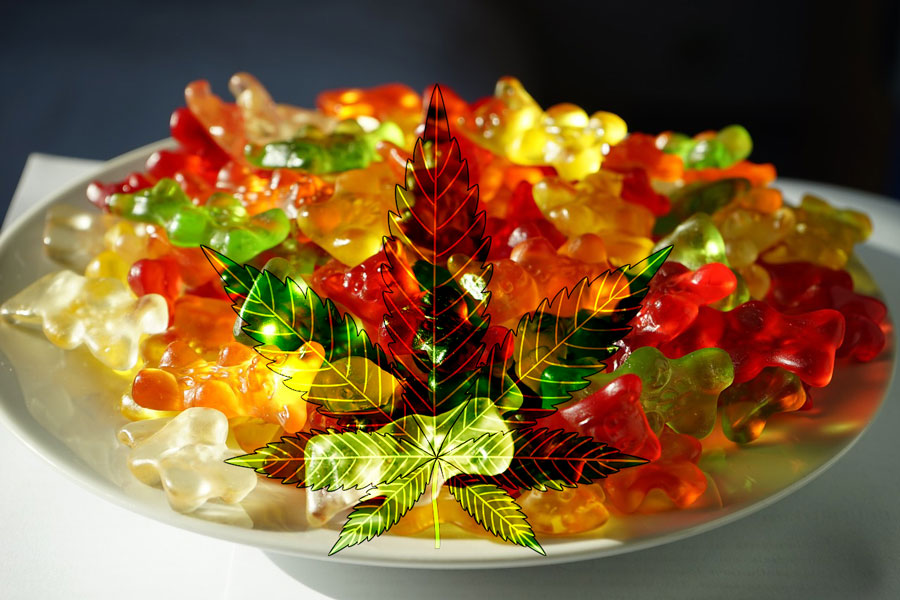 Which CBD gummies are best?