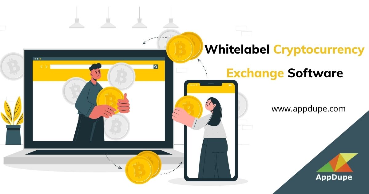 Maintain a stronghold over the virtual trading sector with a Cryptocurrency Exchange Software