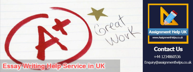 A user-friendly Essay Writing Help writing service