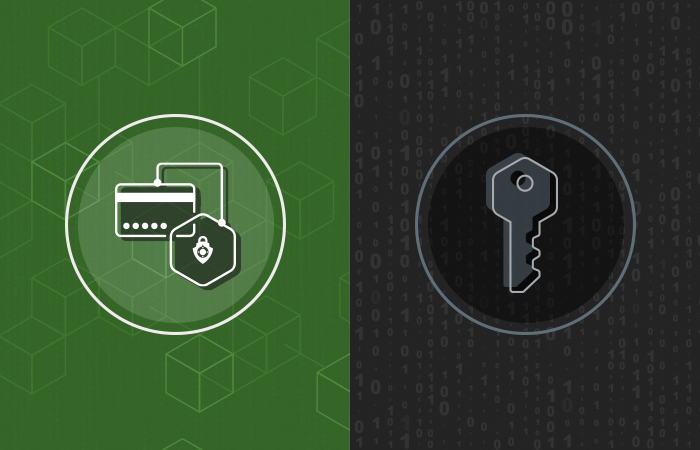 Tokenization vs. Encryption: Which is Better for Your Business?