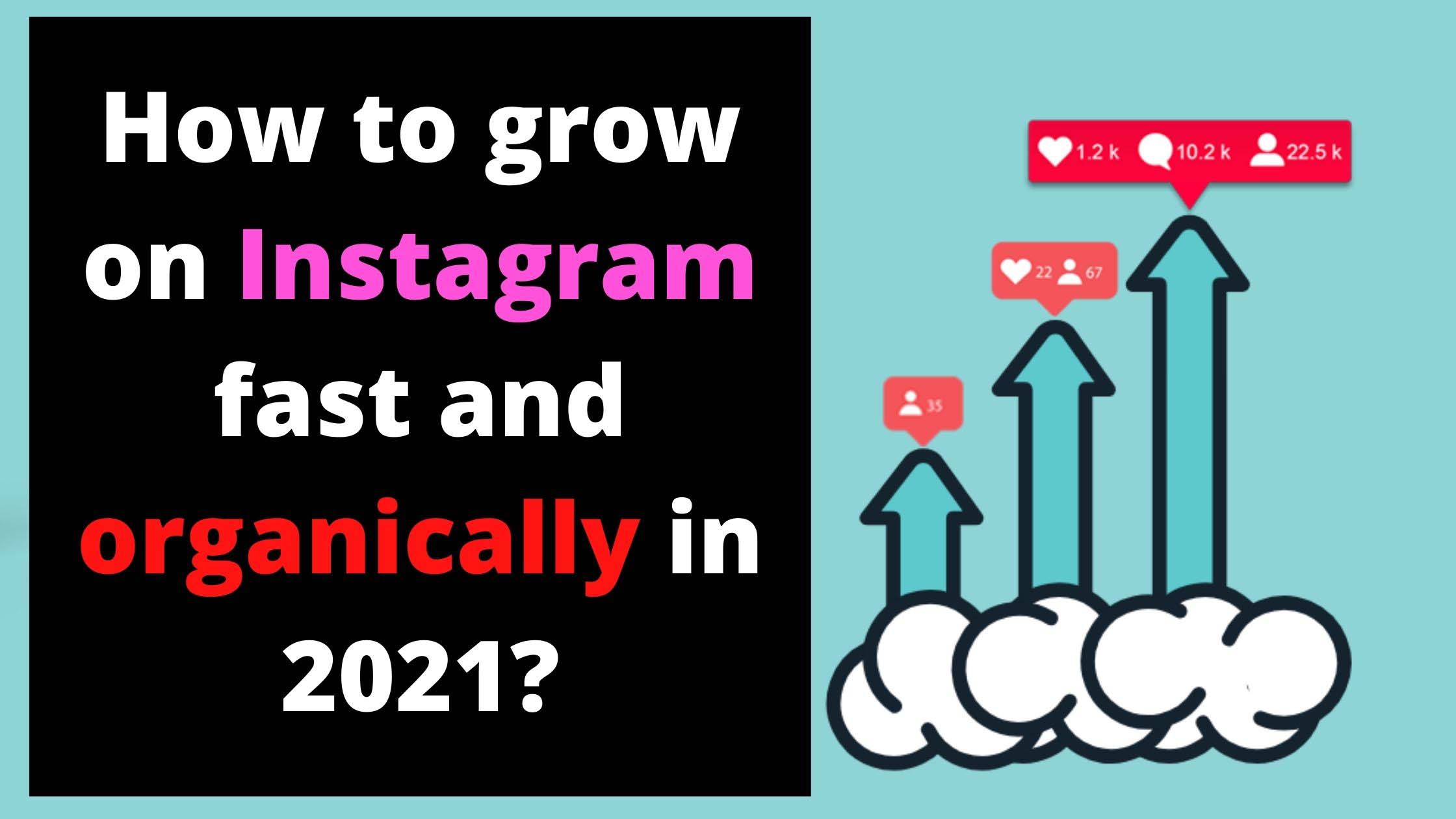 How to grow on Instagram fast and organically in 2021?