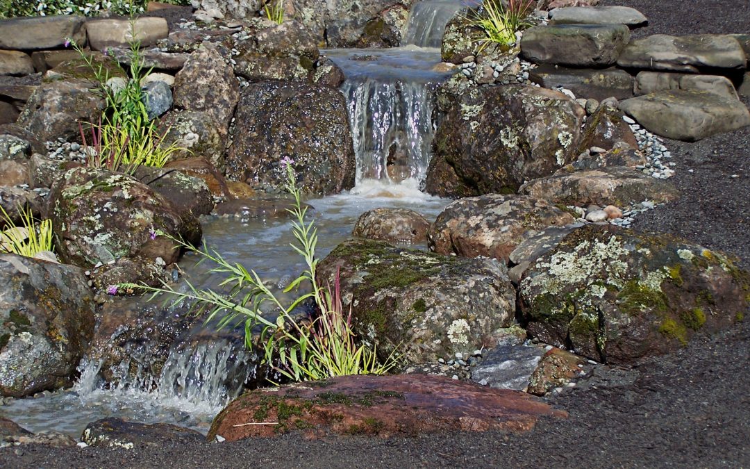 Water Feature Companies Near Windsor