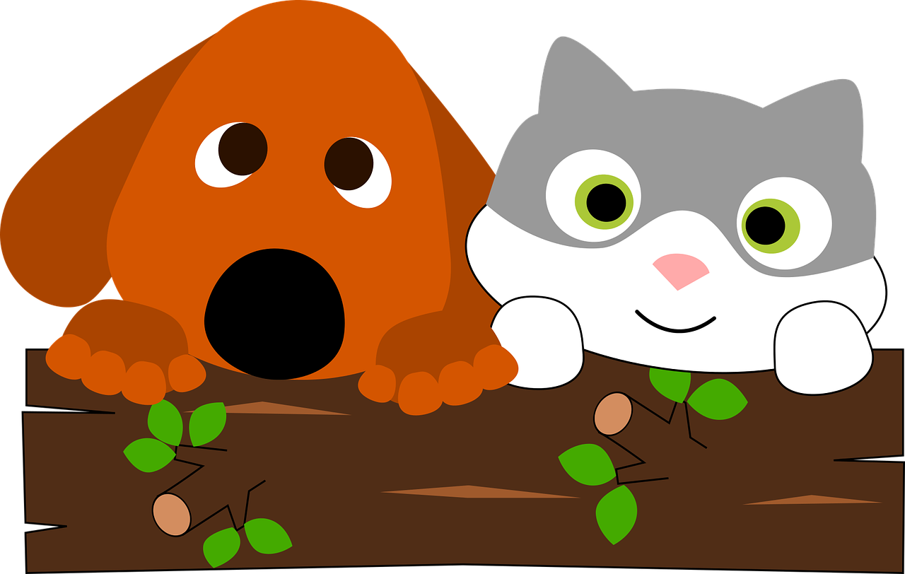 What Types of Blinds are Pet-Friendly?