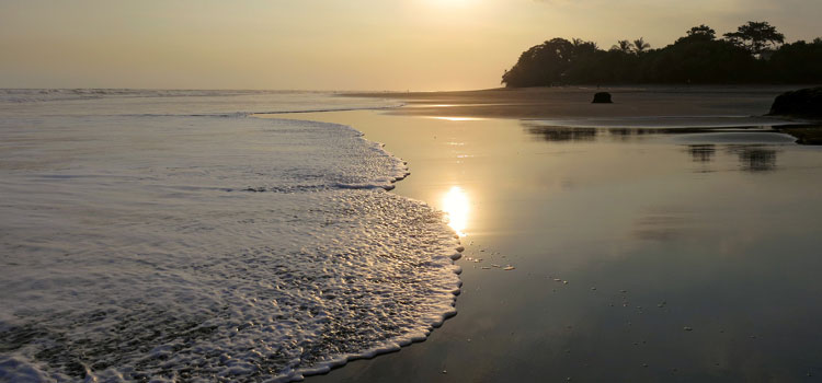Explore the Top Beaches of Bali