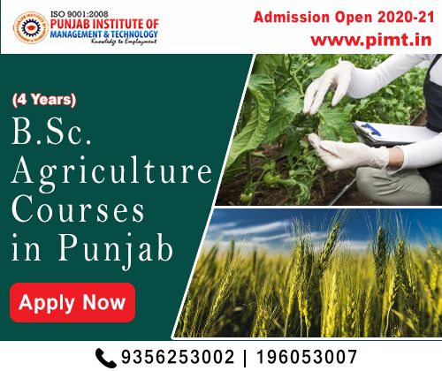 BSC Agriculture private College | Top Agriculture College in Punjab - PIMT