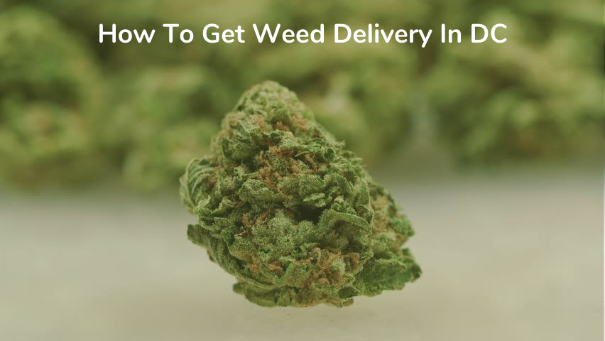 How To Get Weed Delivery In Washington DC | Only Zaza
