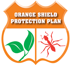 Lawn Care Ponte Vedra