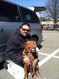 Dog Trainers Arlington VA