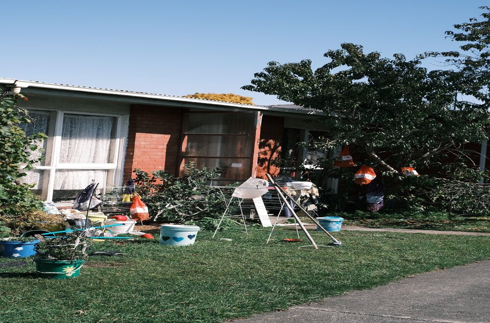 Yard Waste Removal in Windermere FL