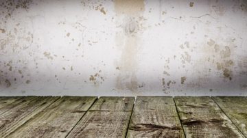 Best waterproofing services in Hyderabad