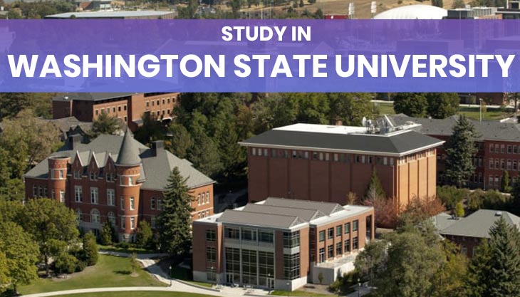 Study In Washington State University