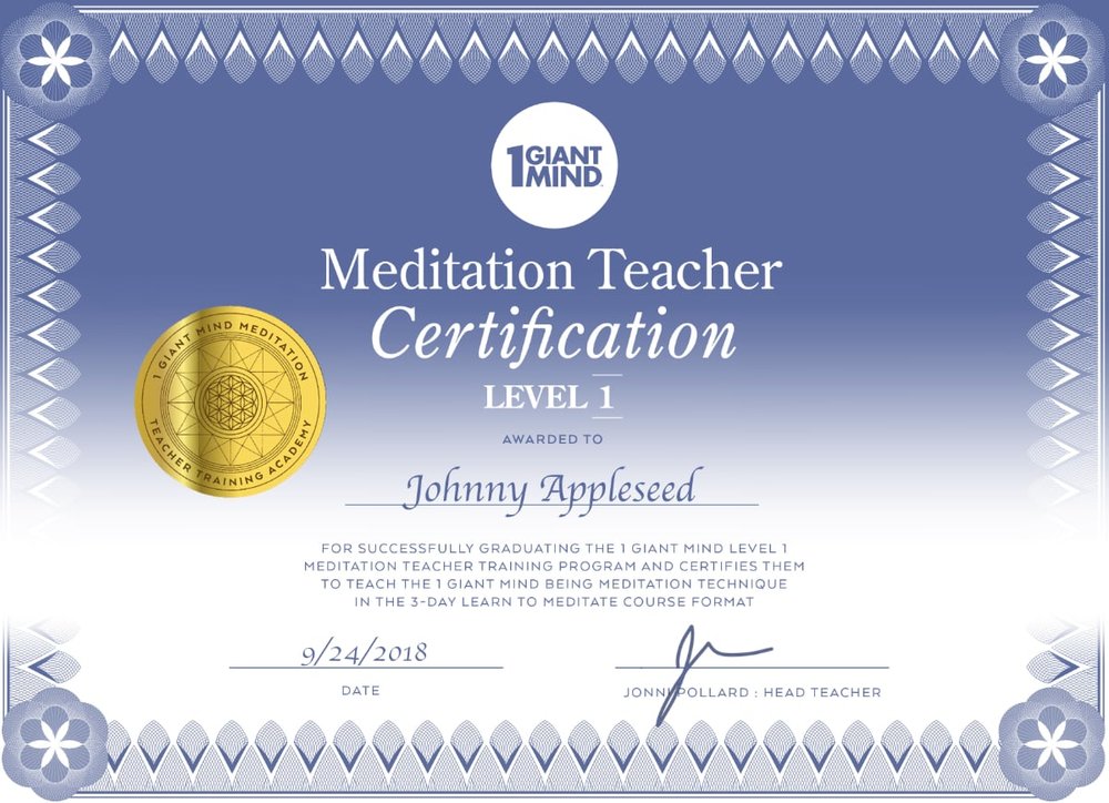 Internationally Certified Meditation Teacher Training Program