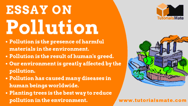 Essay on Pollution