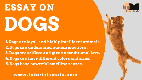 Essay on Dogs