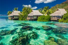 Cruise Holiday