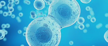Exploring the Booming Stem Cell Therapy Market: Growth Drivers and Opportunities