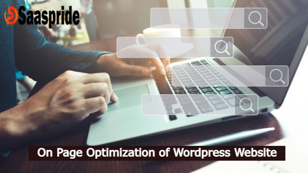 Professional service of SEO and technical on-page optimization of WordPress site