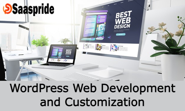 Develop a WordPress website with customization for your business need