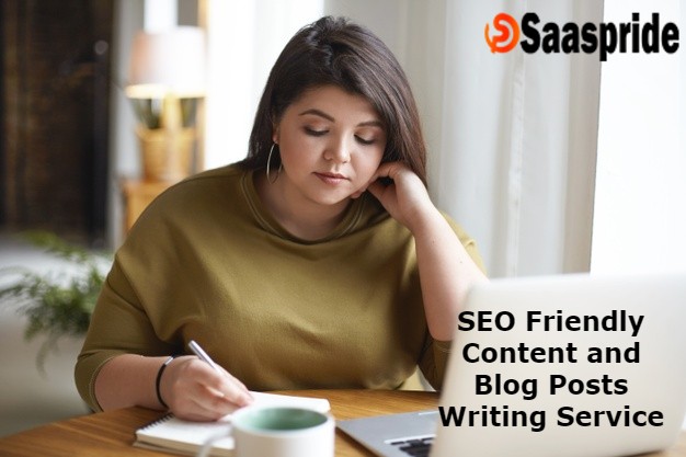 We have huge knowledge to write SEO Friendly Content and Blog Posts