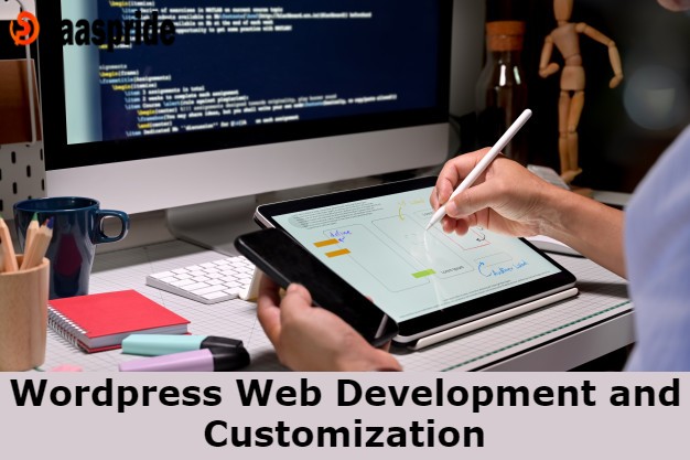 Hire Best Professional to develop a WordPress website with customization