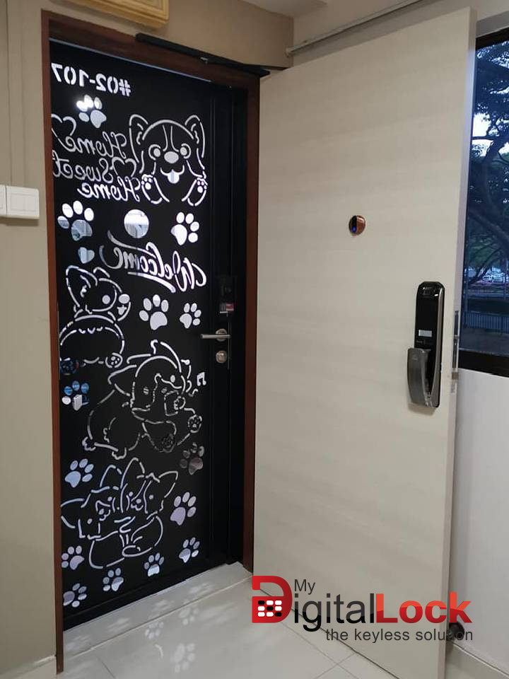 LAMINATE HDB MAIN DOOR