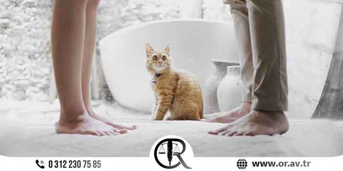 Boşanma Avukatı Ankara