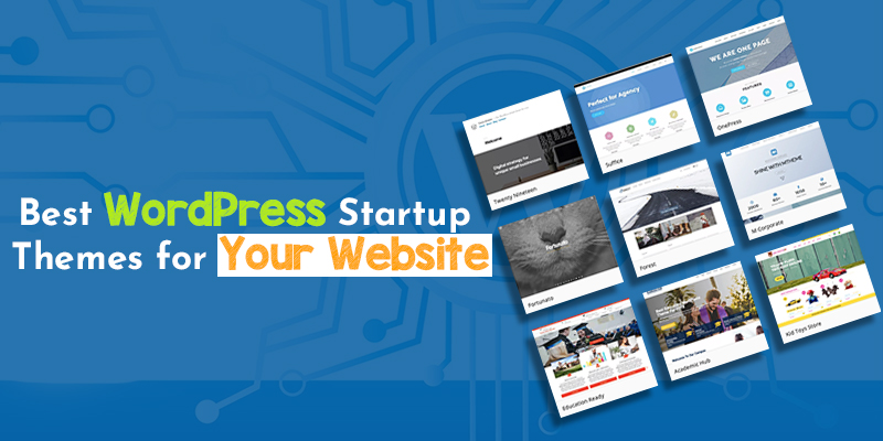 Best WordPress Startup Themes for Your Website