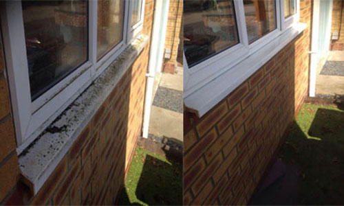 Gutter Cleaning - Tips to For Thriving Gutter Cleaning