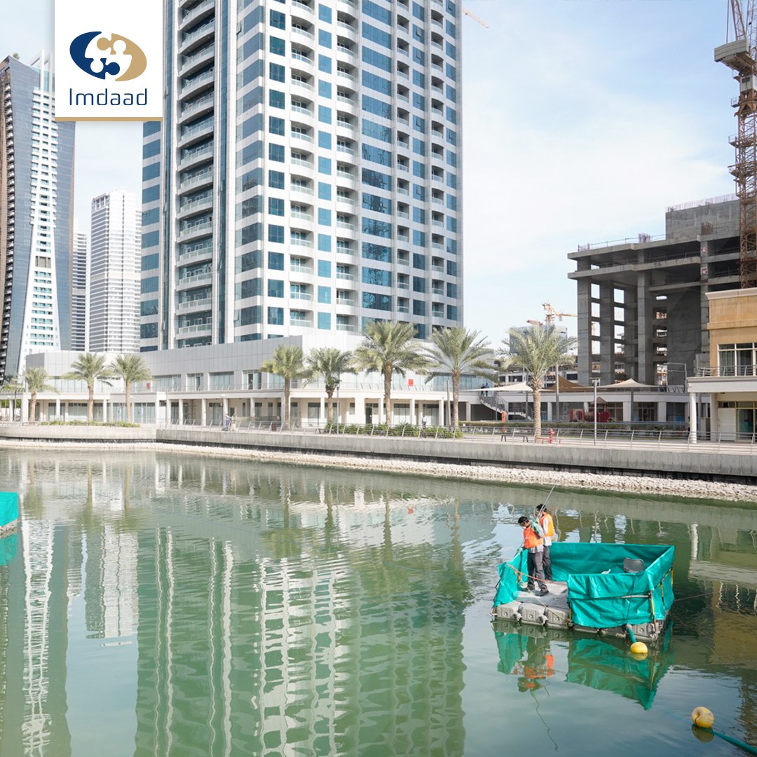 Lake Cleaning : Imdaad