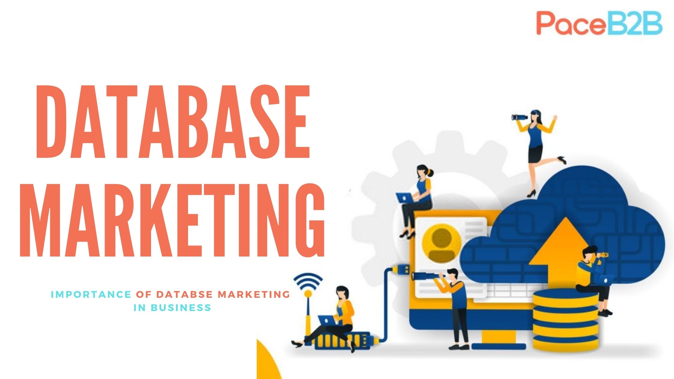 Why database marketing is important for your business?